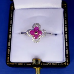 9ct Gold Ruby and Diamond Ring Size O