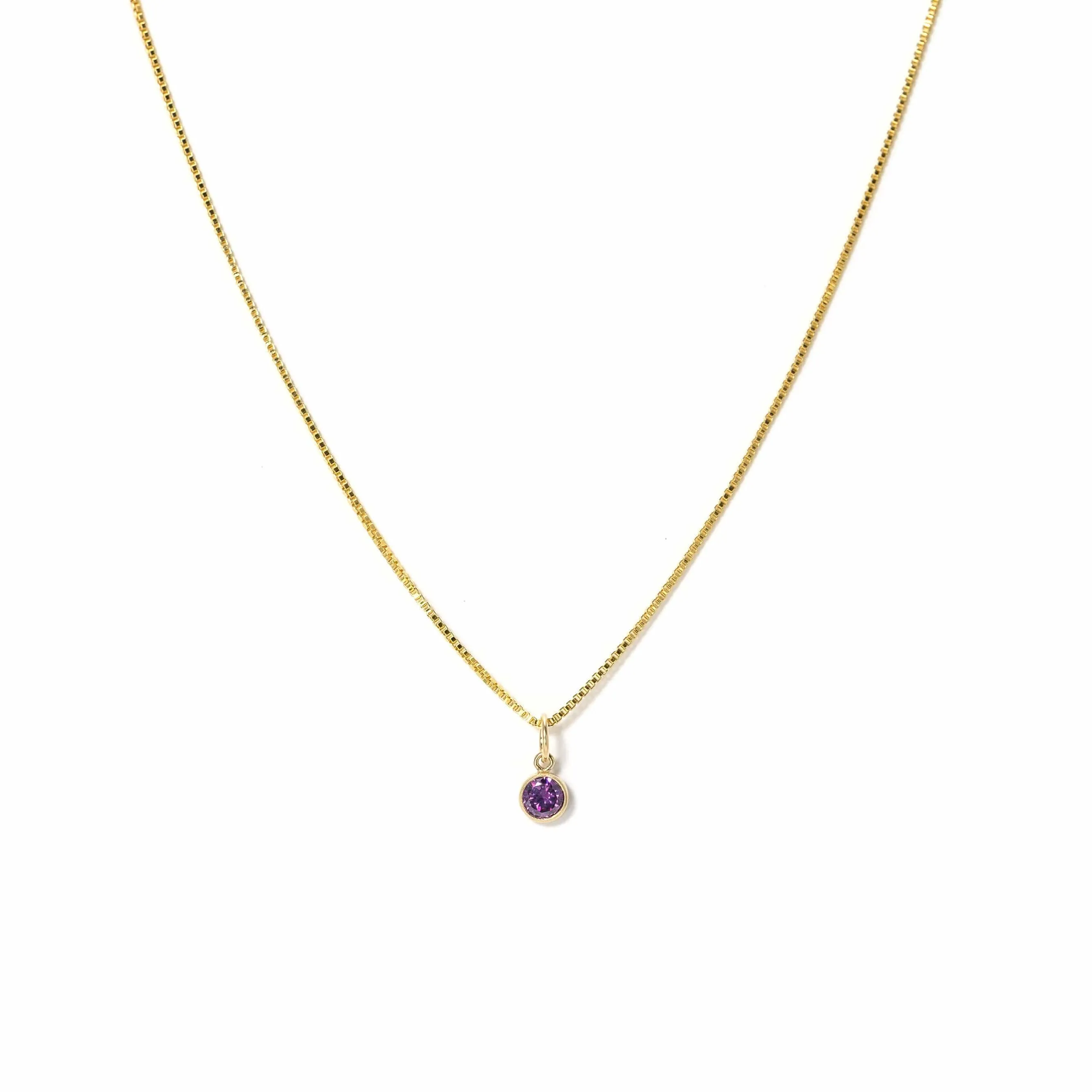 February Birthstone Gold-Filled Necklace