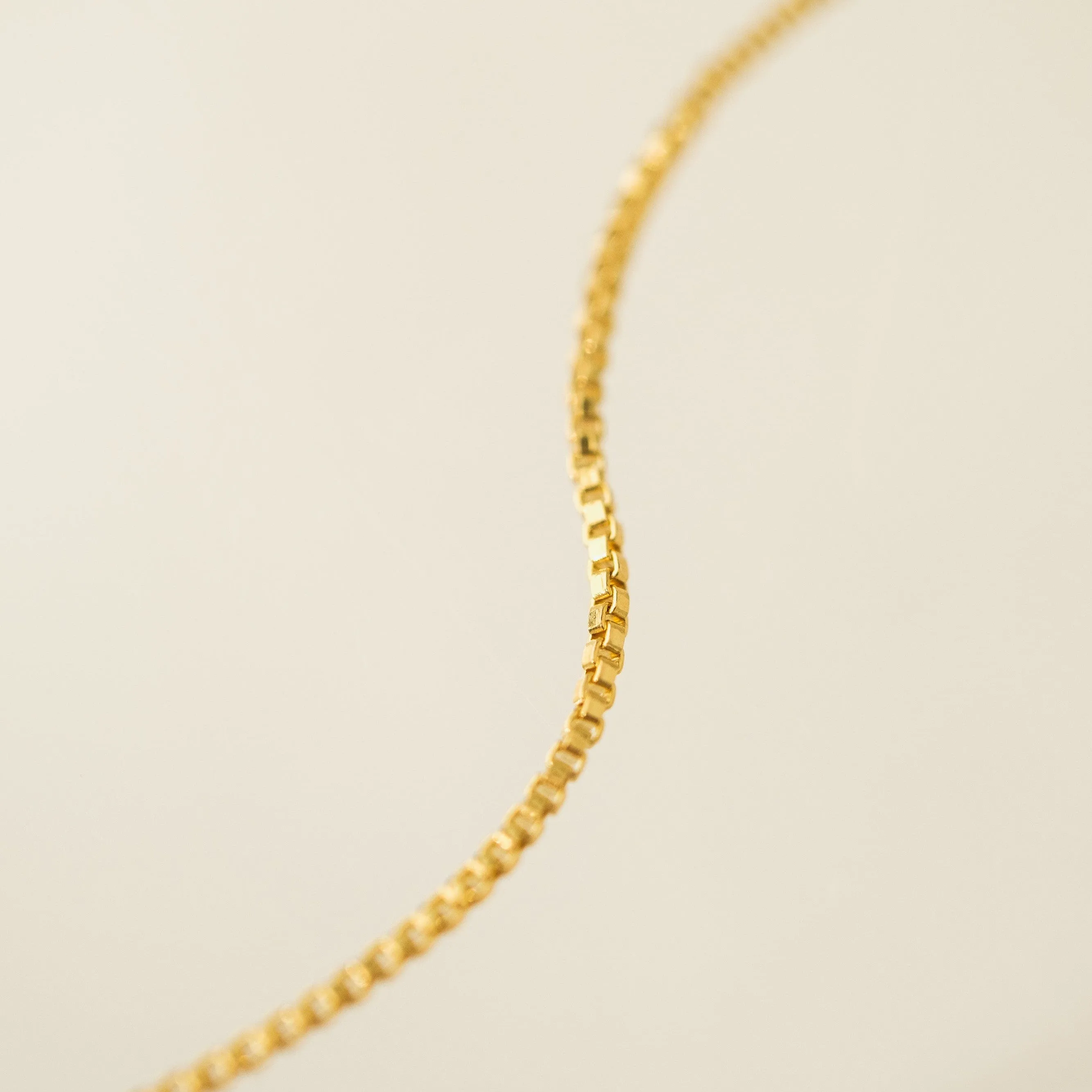 February Birthstone Gold-Filled Necklace