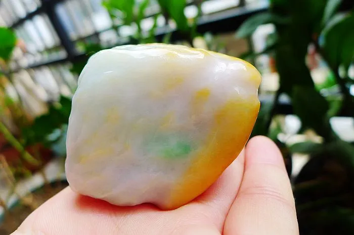 Natural Jade Rough Jadeite Raw (310g,8X4.5X4.3cm)