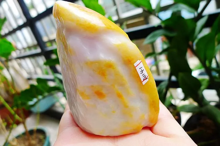 Natural Jade Rough Jadeite Raw (310g,8X4.5X4.3cm)