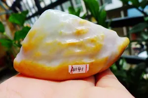 Natural Jade Rough Jadeite Raw (310g,8X4.5X4.3cm)