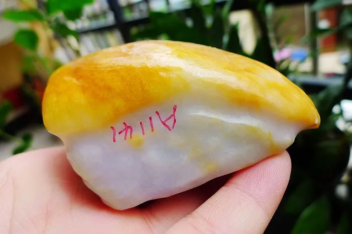 Natural Jade Rough Jadeite Raw (310g,8X4.5X4.3cm)