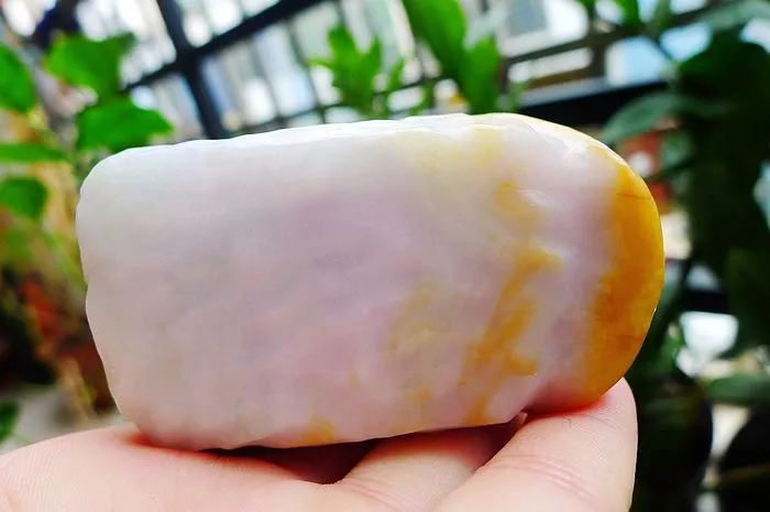 Natural Jade Rough Jadeite Raw (310g,8X4.5X4.3cm)