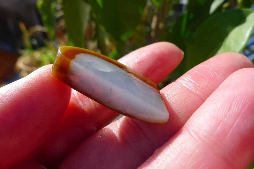 Natural Jade Rough Jadeite Raw 46g